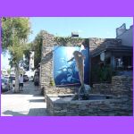 Wyland Gallery.jpg